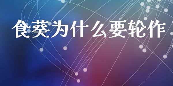 食葵为什么要轮作_https://cj007.lansai.wang_期货开户_第1张