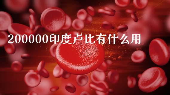 200000印度卢比有什么用_https://cj007.lansai.wang_金融监管_第1张