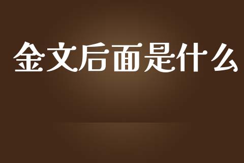 金文后面是什么_https://cj007.lansai.wang_外汇交易_第1张