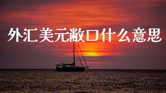 外汇美元敝口什么意思_https://cj007.lansai.wang_外汇交易_第1张