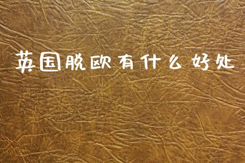 英国脱欧有什么好处_https://cj007.lansai.wang_金融监管_第1张