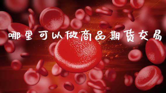 哪里可以做商品期货交易_https://cj007.lansai.wang_财经新闻_第1张