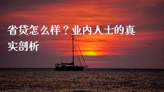 省贷怎么样？业内人士的真实剖析_https://cj007.lansai.wang_财经新闻_第1张