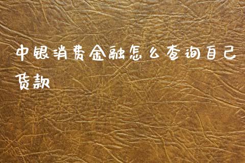 中银消费金融怎么查询自己货款_https://cj007.lansai.wang_期货开户_第1张