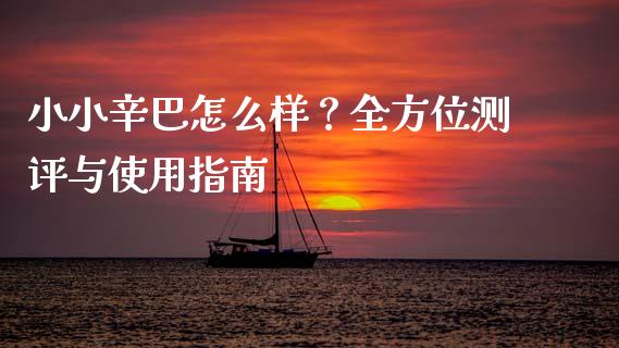 小小辛巴怎么样？全方位测评与使用指南_https://cj007.lansai.wang_财经新闻_第1张