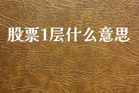股票1层什么意思_https://cj007.lansai.wang_全球市场_第1张