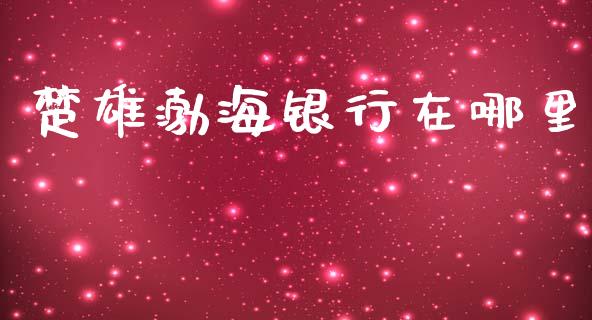楚雄渤海银行在哪里_https://cj007.lansai.wang_财经新闻_第1张
