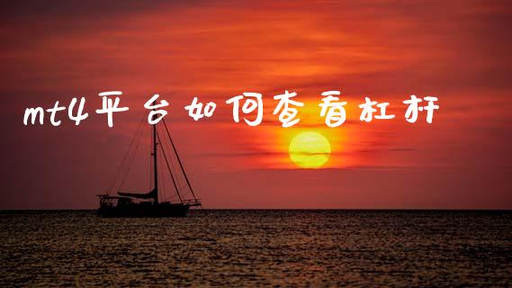 mt4平台如何查看杠杆_https://cj007.lansai.wang_金融监管_第1张