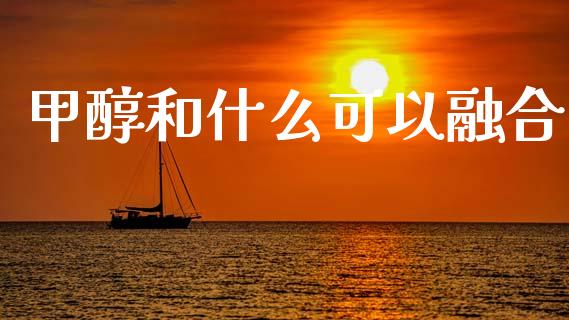 甲醇和什么可以融合_https://cj007.lansai.wang_财经新闻_第1张