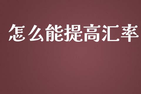 怎么能提高汇率_https://cj007.lansai.wang_债券资讯_第1张