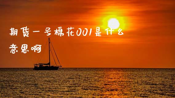 期货一号棉花001是什么意思啊_https://cj007.lansai.wang_外汇交易_第1张