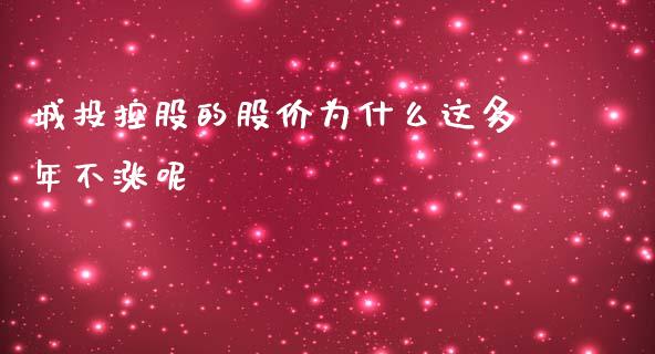 城投控股的股价为什么这多年不涨呢_https://cj007.lansai.wang_财经新闻_第1张