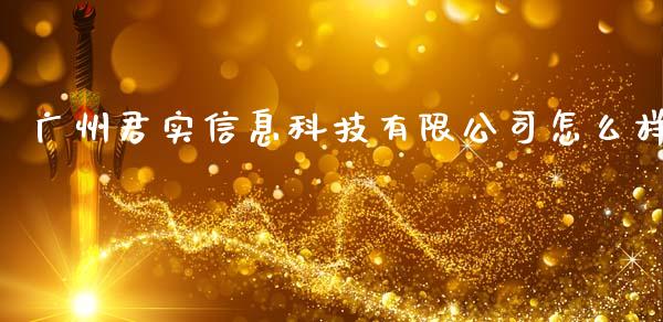 广州君实信息科技有限公司怎么样_https://cj007.lansai.wang_金融监管_第1张