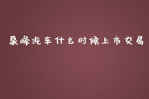 泉峰汽车什么时候上市交易_https://cj007.lansai.wang_债券资讯_第1张
