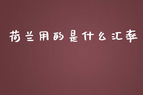 荷兰用的是什么汇率_https://cj007.lansai.wang_金融监管_第1张