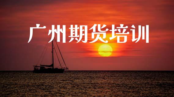 广州期货培训_https://cj007.lansai.wang_金融监管_第1张