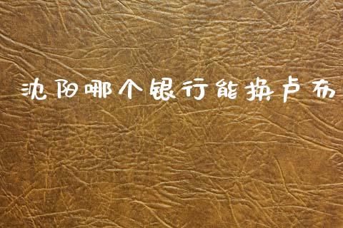 沈阳哪个银行能换卢布_https://cj007.lansai.wang_财经新闻_第1张