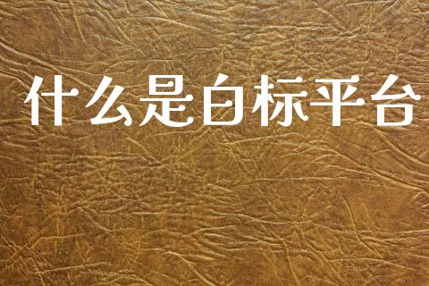 什么是白标平台_https://cj007.lansai.wang_金融监管_第1张