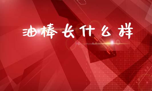 油棒长什么样_https://cj007.lansai.wang_财经新闻_第1张