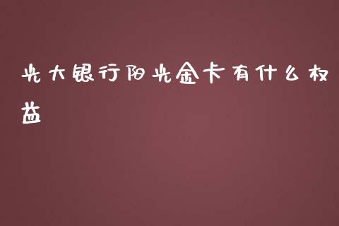 光大银行阳光金卡有什么权益_https://cj007.lansai.wang_金融监管_第1张