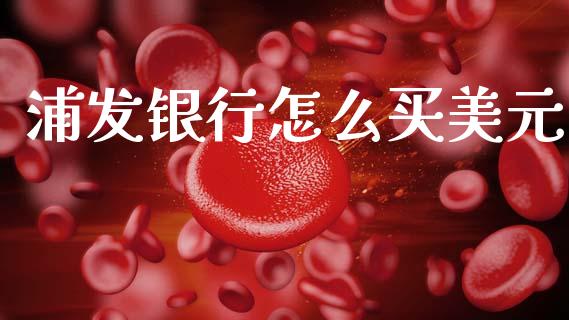 浦发银行怎么买美元_https://cj007.lansai.wang_债券资讯_第1张