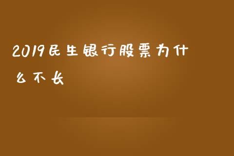 2019民生银行股票为什么不长_https://cj007.lansai.wang_财经新闻_第1张