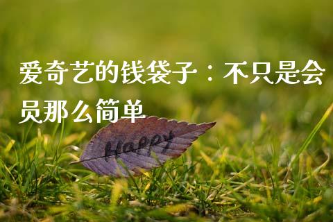 爱奇艺的钱袋子：不只是会员那么简单_https://cj007.lansai.wang_外汇交易_第1张