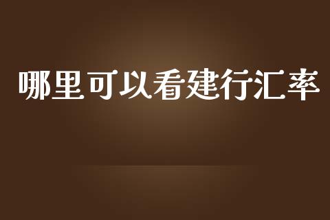 哪里可以看建行汇率_https://cj007.lansai.wang_外汇交易_第1张