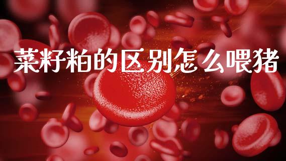 菜籽粕的区别怎么喂猪_https://cj007.lansai.wang_全球市场_第1张