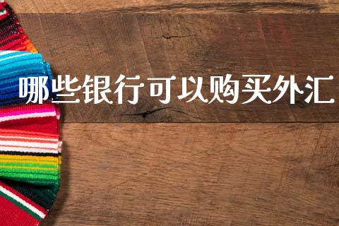 哪些银行可以购买外汇_https://cj007.lansai.wang_全球市场_第1张