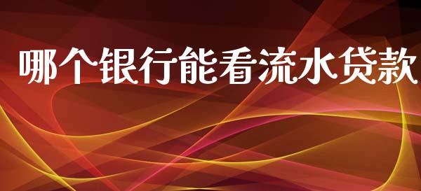 哪个银行能看流水贷款_https://cj007.lansai.wang_金融监管_第1张