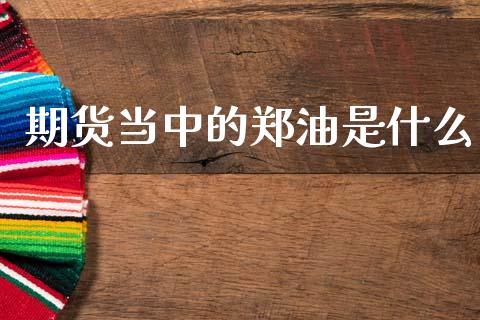 期货当中的郑油是什么_外汇交易_第1张_期货开户_金融监管_外汇交易_债券资讯_全球市场_财经新闻 期货当中的郑油是什么_https://cj007.lansai.wang_外汇交易_第1张