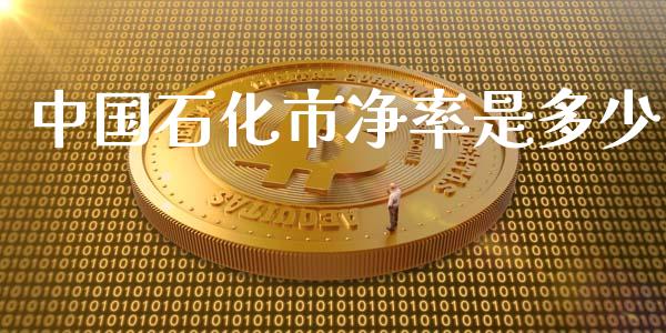 中国石化市净率是多少_https://cj007.lansai.wang_金融监管_第1张