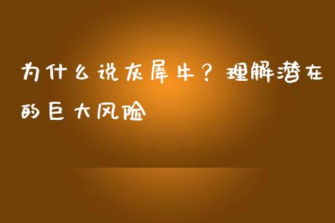 为什么说灰犀牛？理解潜在的巨大风险_https://cj007.lansai.wang_期货开户_第1张