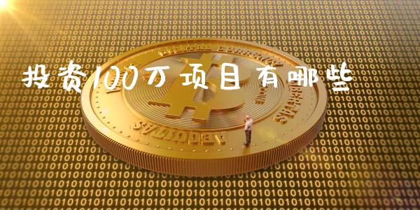 投资100万项目有哪些_https://cj007.lansai.wang_金融监管_第1张
