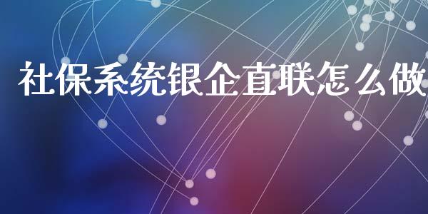 社保系统银企直联怎么做_https://cj007.lansai.wang_金融监管_第1张
