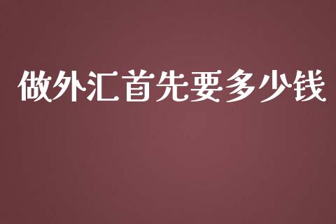 做外汇首先要多少钱_https://cj007.lansai.wang_期货开户_第1张