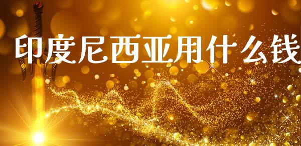 印度尼西亚用什么钱_https://cj007.lansai.wang_外汇交易_第1张