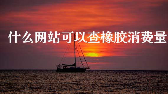 什么网站可以查橡胶消费量_https://cj007.lansai.wang_外汇交易_第1张