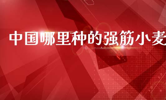 中国哪里种的强筋小麦_https://cj007.lansai.wang_财经新闻_第1张