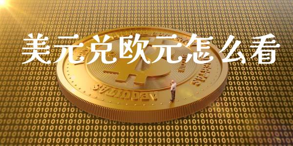 美元兑欧元怎么看_https://cj007.lansai.wang_全球市场_第1张