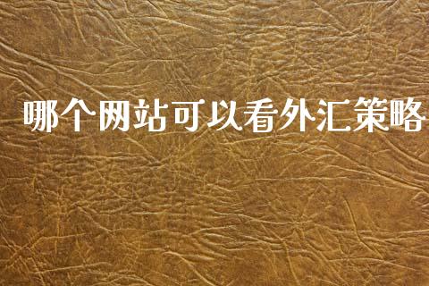 哪个网站可以看外汇策略_https://cj007.lansai.wang_期货开户_第1张