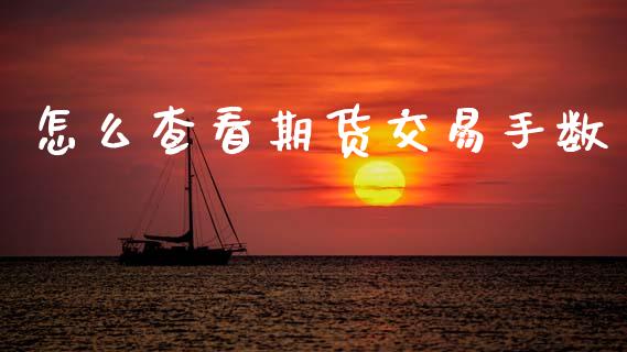 怎么查看期货交易手数_https://cj007.lansai.wang_金融监管_第1张