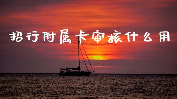 招行附属卡审核什么用_https://cj007.lansai.wang_财经新闻_第1张