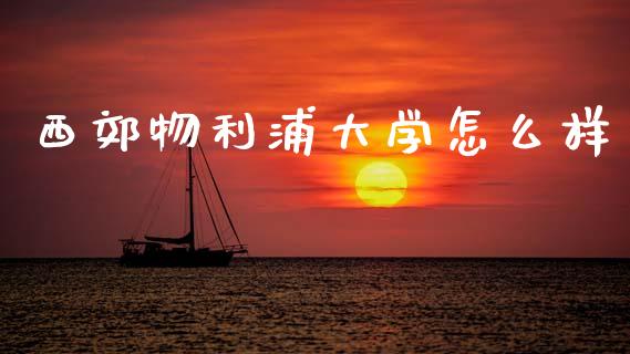 西郊物利浦大学怎么样_https://cj007.lansai.wang_全球市场_第1张
