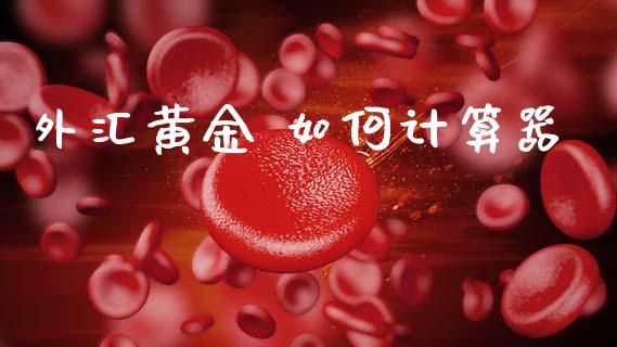 外汇黄金 如何计算器_https://cj007.lansai.wang_外汇交易_第1张