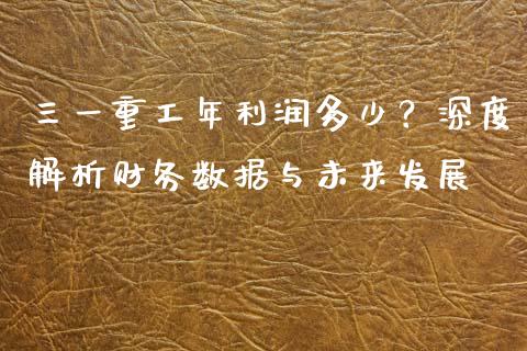 三一重工年利润多少？深度解析财务数据与未来发展_https://cj007.lansai.wang_外汇交易_第1张