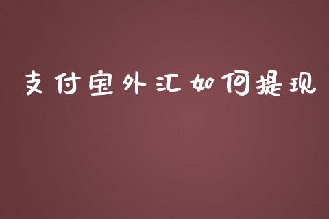 支付宝外汇如何提现_https://cj007.lansai.wang_期货开户_第1张