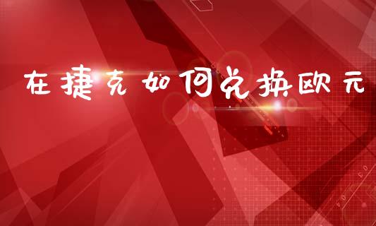 在捷克如何兑换欧元_https://cj007.lansai.wang_期货开户_第1张