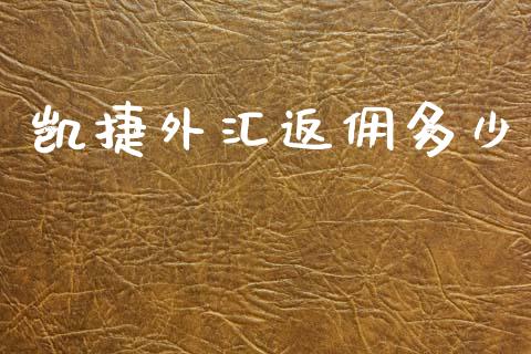 凯捷外汇返佣多少_https://cj007.lansai.wang_债券资讯_第1张